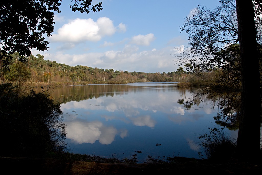 Oisterwijkse Bossen en Vennen Kampina natuurgebied natuur hdr oisterwijk Nationaal park Landschap Het Groene Woud hei heide bossen natuurmonumenten brabant